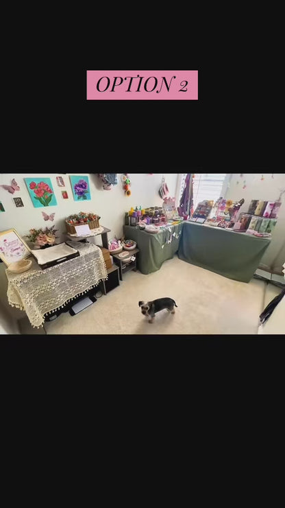 Scoop Reveal Video